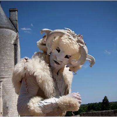 faune loches